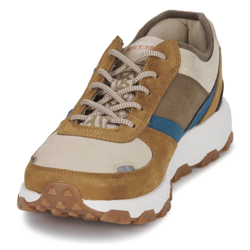 Timberland - WINSOR PARK OX - Marron / Multicolore