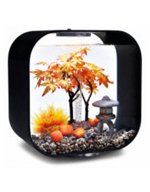 Biorb Decor Set Herfst - Aquarium - Ornament - Oranje Oker Lichtbruin