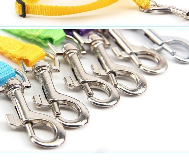 2 nachten - Wings Pet Harness