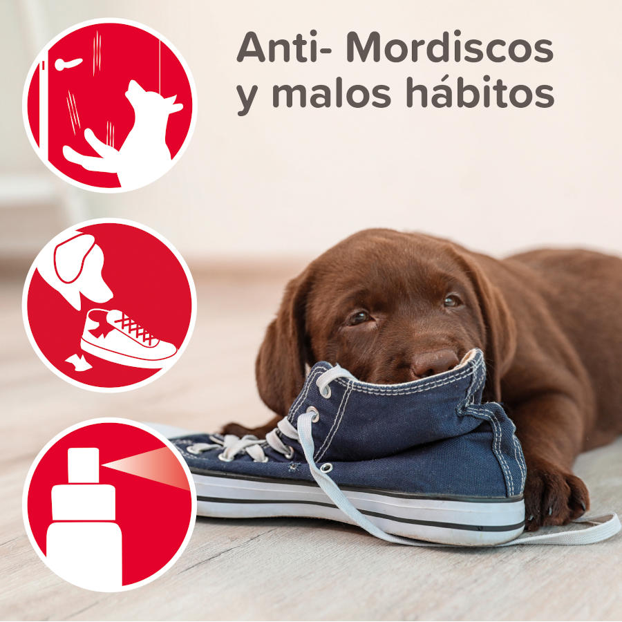 Beaphar Stop It Indoor Anti-urinação e Anti-mordida Educador