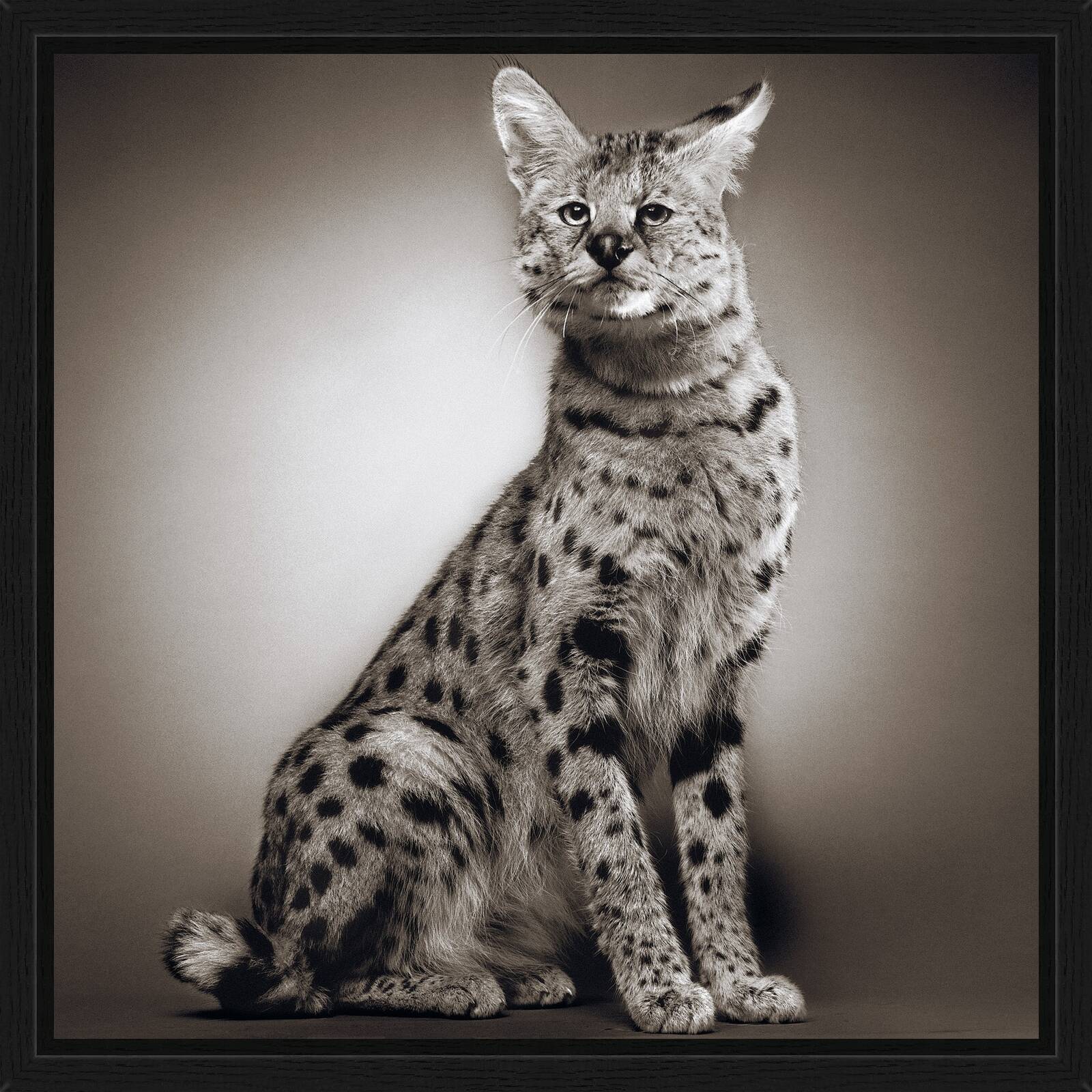 Mogwai by Alexander Von Reiswitz - Limited Edition. Edition of: 100. Signed.