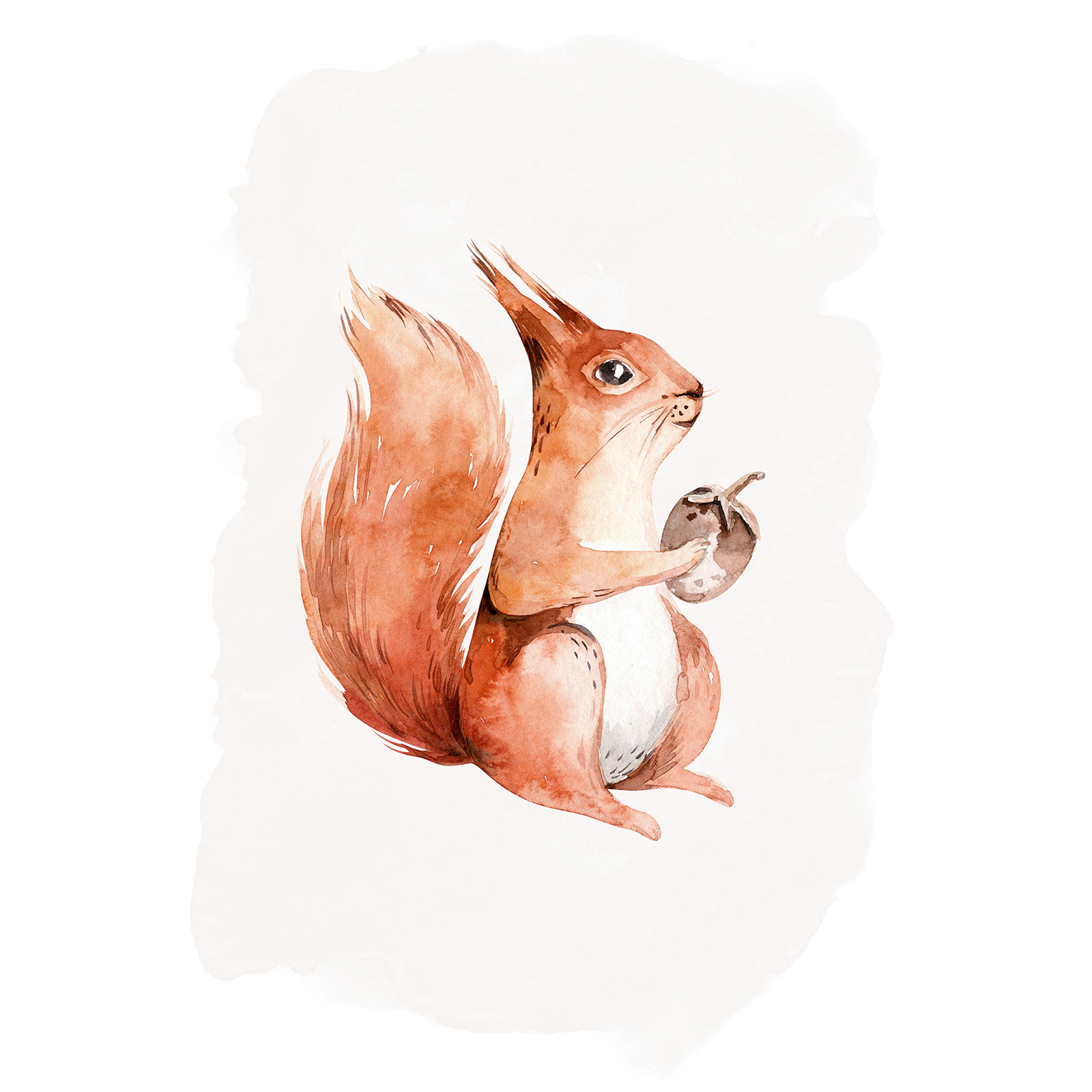 Wandbild HUNGRY SQUIRREL - bunt - 50x70 cm