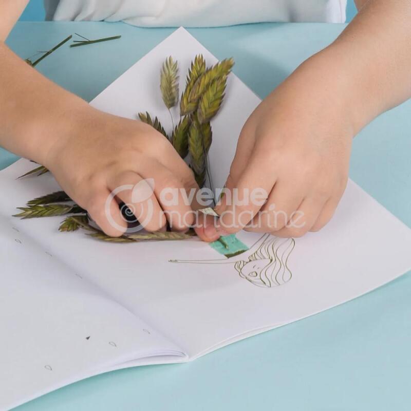 Coffret créatif, Presse fleurs et herbier - Multicolore