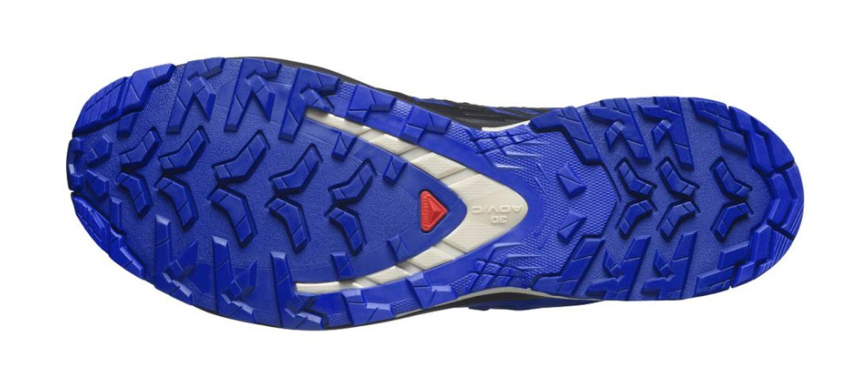 Salomon<br>XA Pro 3D V9 GTX
