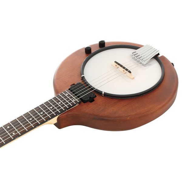 Gold Tone EB-6 E-Banjo w/Bag