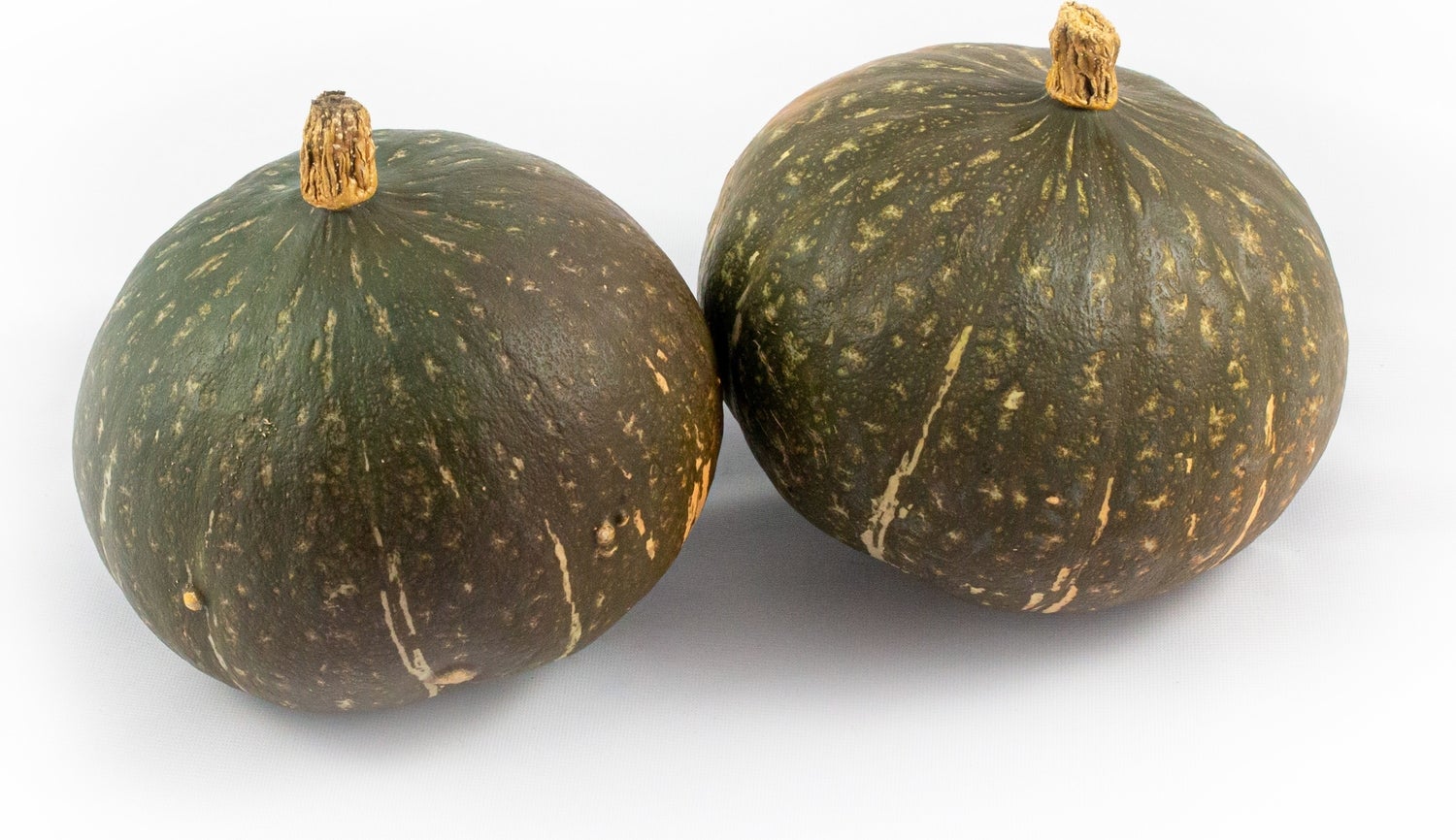 Pompoen (Cucurbita 'Groen/blauwe Hokkaido') D 15 cm