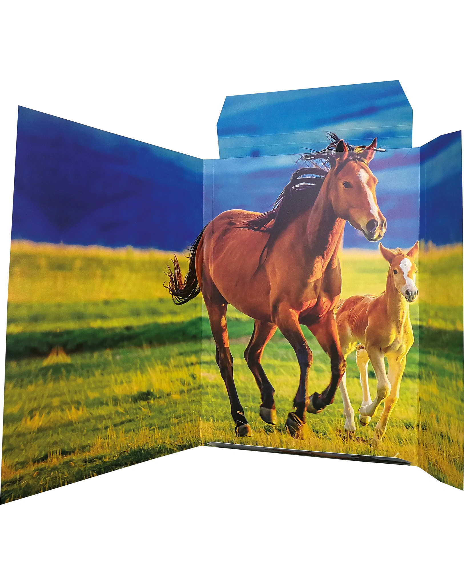 Zeichenmappe FREE HORSES (31x44) A3