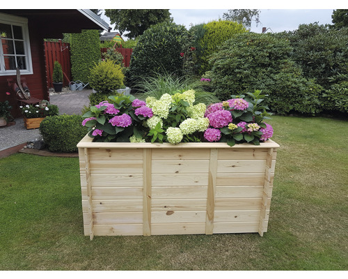Promadino verhoogde tuinbak inclusief folie, 160 x 80 x 85 cm, naturel
