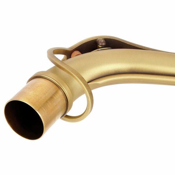 Selmer S- Neck Alto Reference Patin.