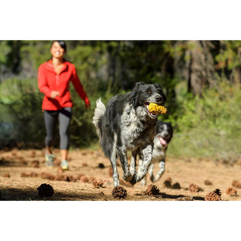 Ruffwear Gnawt-A-Cone Hundespielzeug