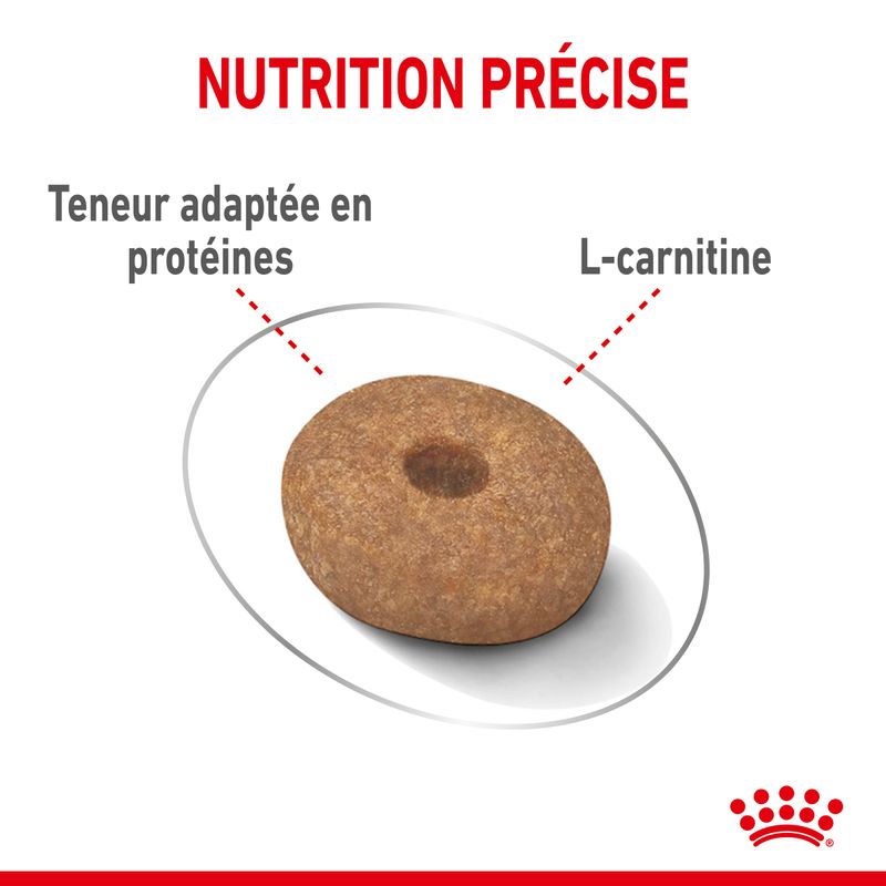 Royal Canin Mini Light Weight Care à prix discount sur bitiba.fr