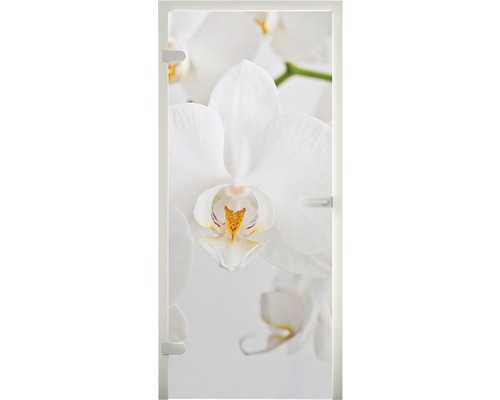 Pertura glazen deur Mynd Orchid 70,9 x 197,2 x 0,8 cm DIN Links