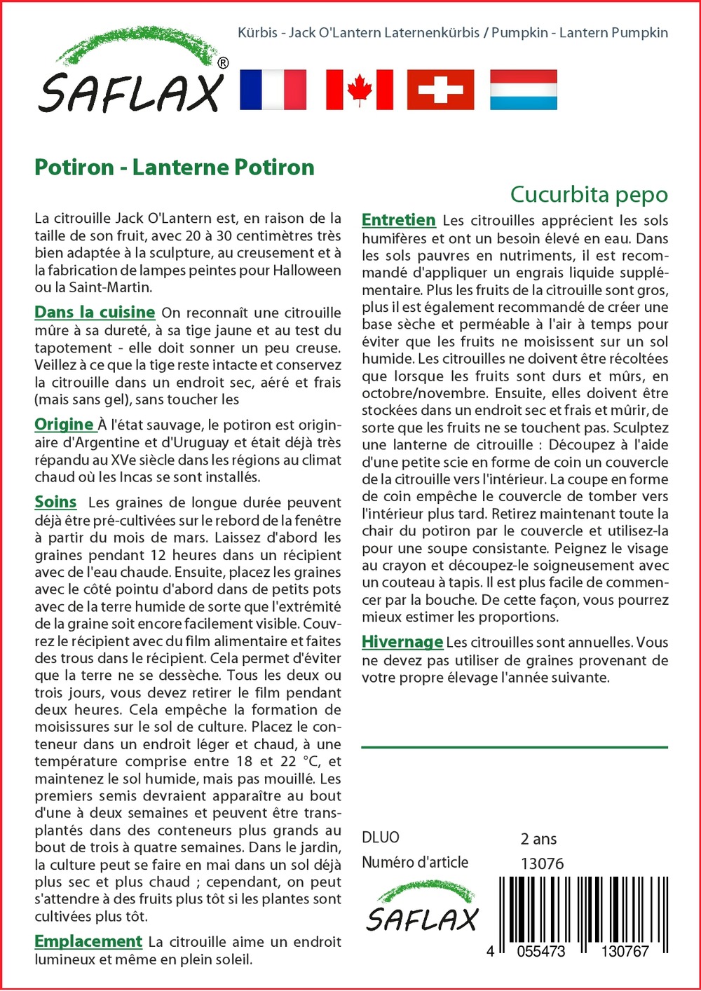 Kit cadeau - potiron - lanterne potiron - 10 graines - cucurbita pepo