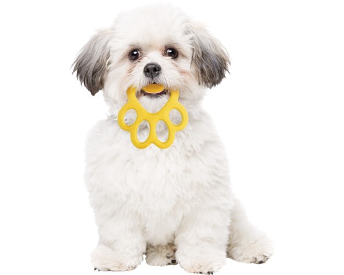 Hondenspeelgoed Bama Pet Ring Orma Big 16,5 cm willekeurige kleurselectie