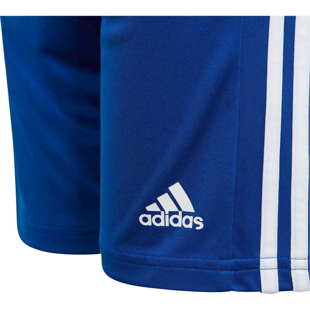 adidas Squad 21 Træningsshorts Herre
