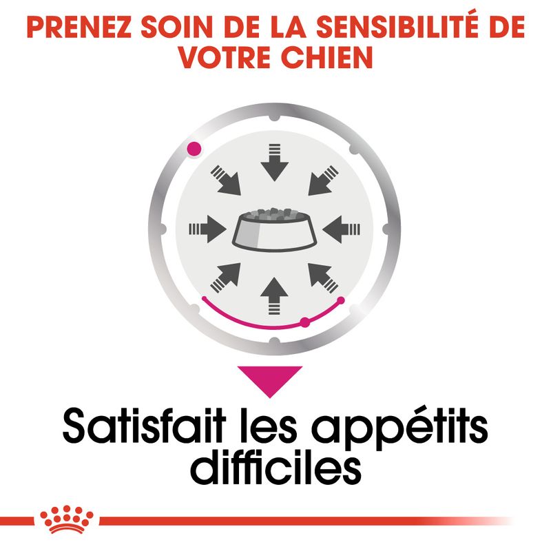 Royal Canin Exigent en mousse