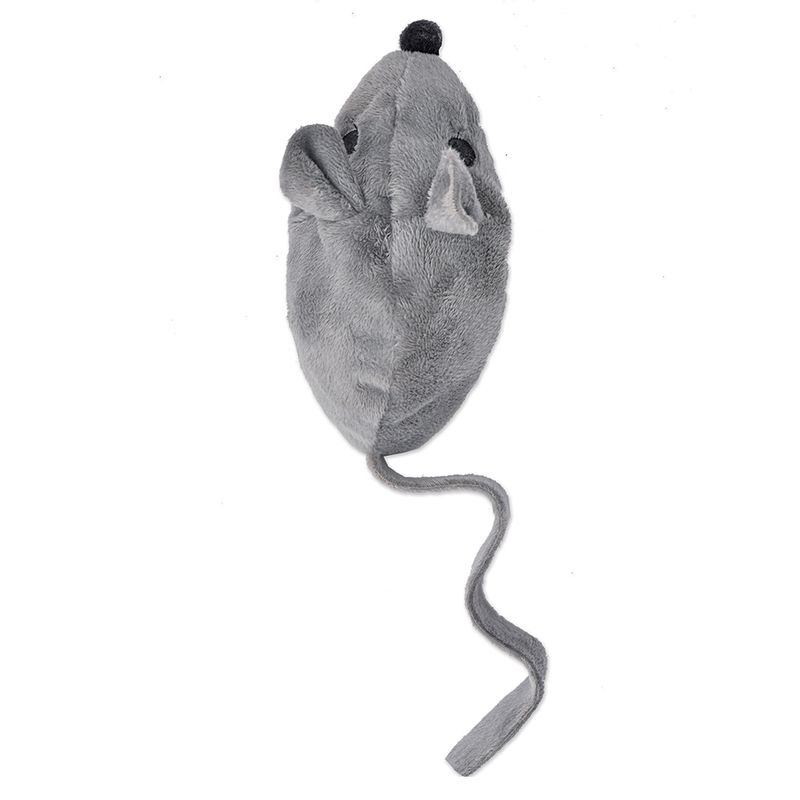 Souris Baldi