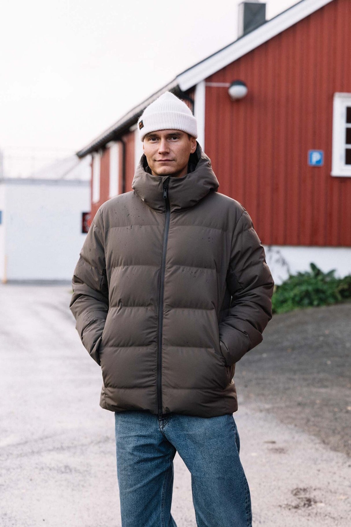 Scandinavian Edition<br>Torrent
