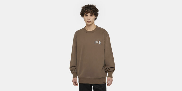 Dickies AITKIN CHEST SWEATSHIRT MUSHROOM/CL Mushroom/cloud