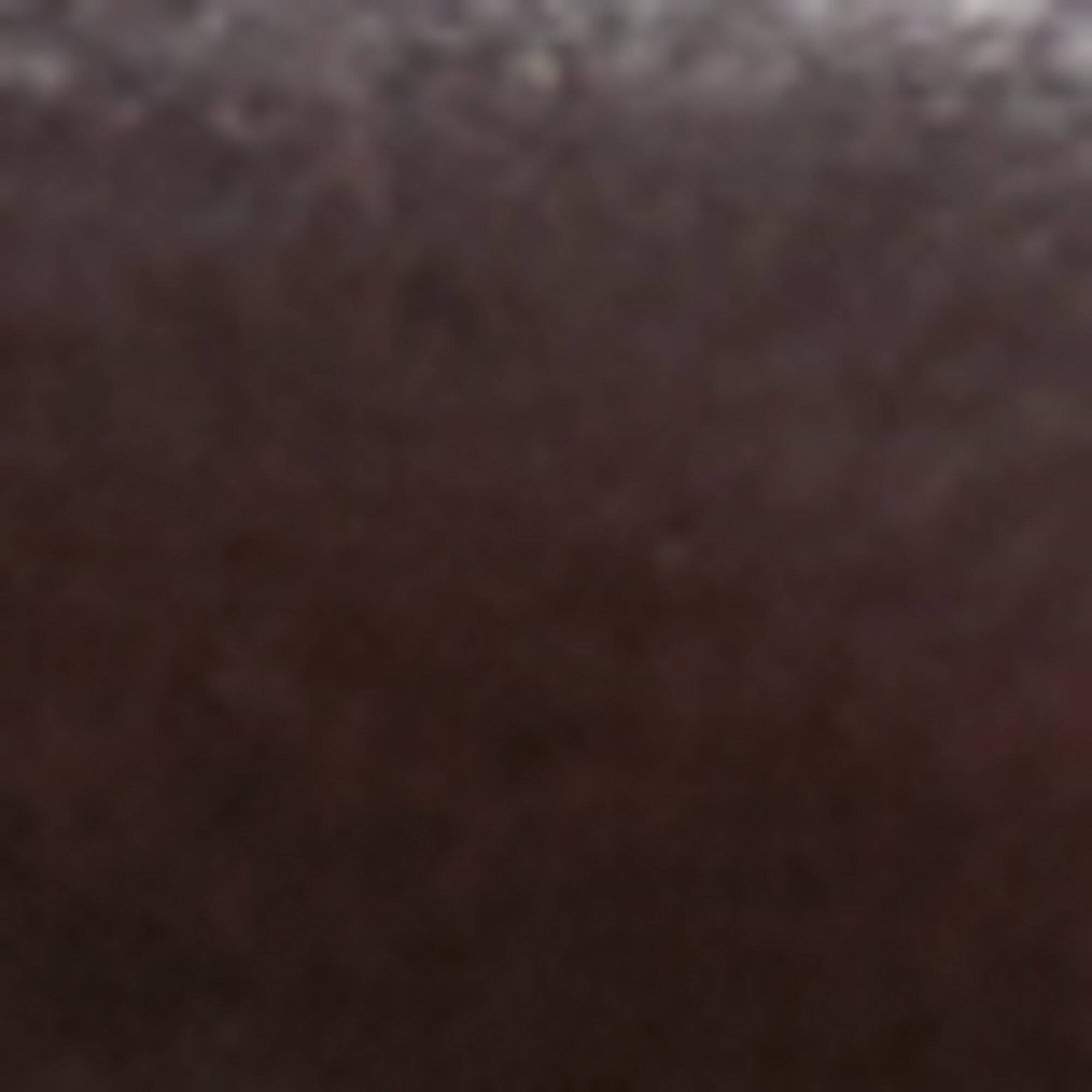Chunky-Loafer aus poliertem Kalbleder