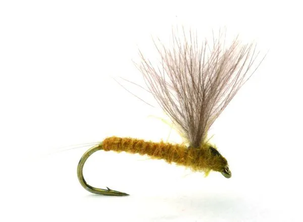 Umpqua Flies Rune'S Cdc No-Hackle Light Olive