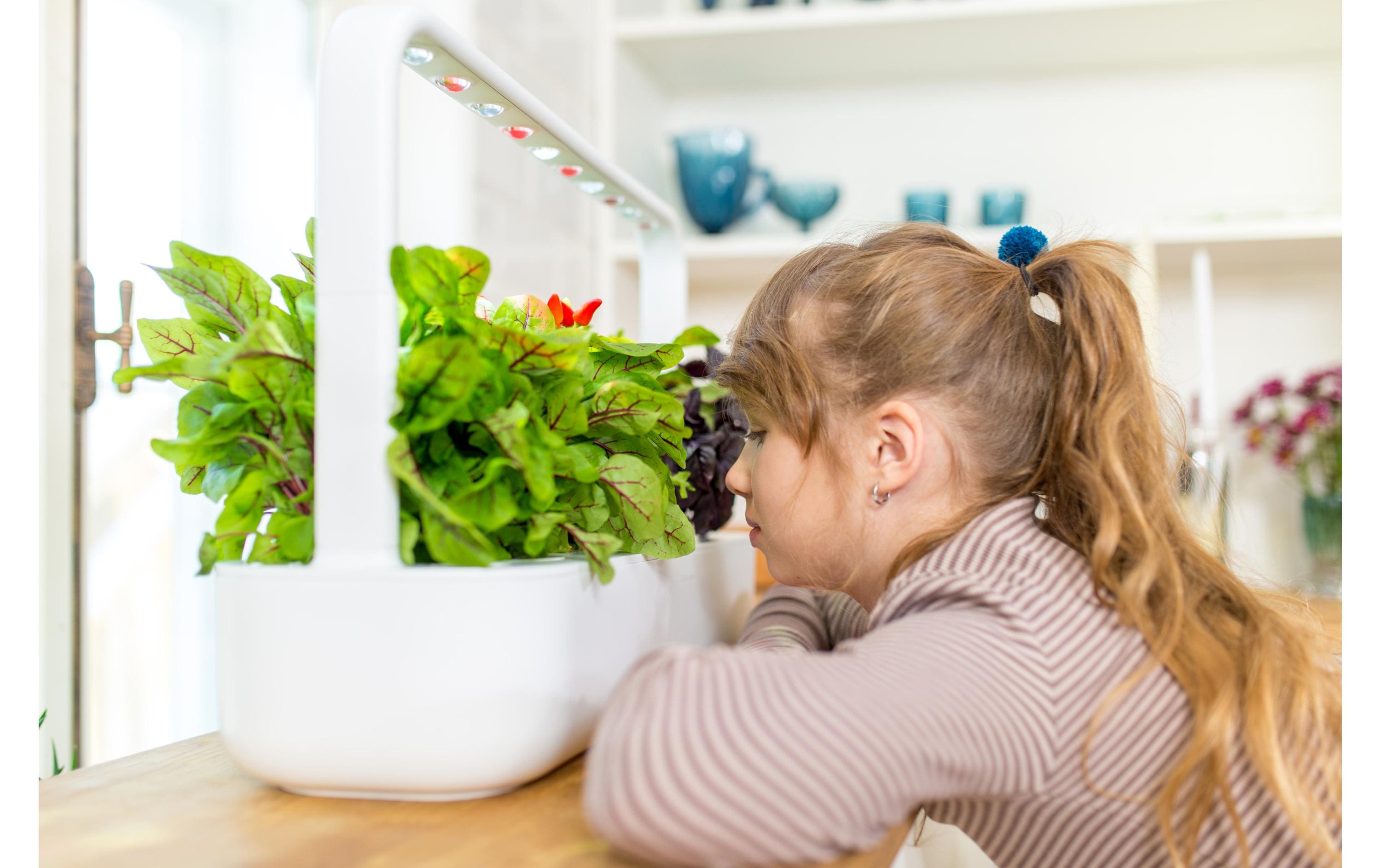 Kräutertopf Smart Garden 9 Weiss<br>Intelligentes Pflanzengefäss