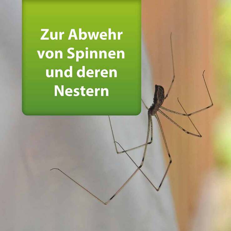 Ardap Repell Spinnenspray, 400 ml