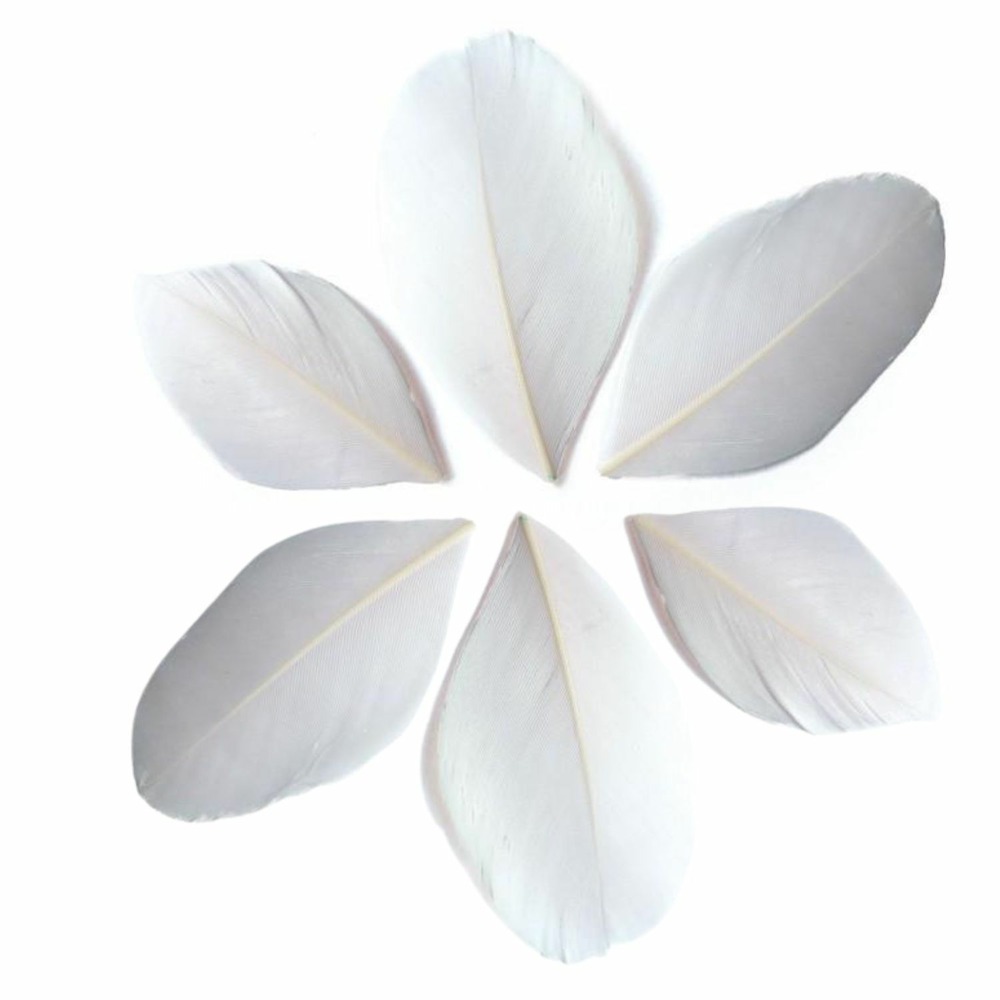 100 plumes coupées - blanc 6 cm