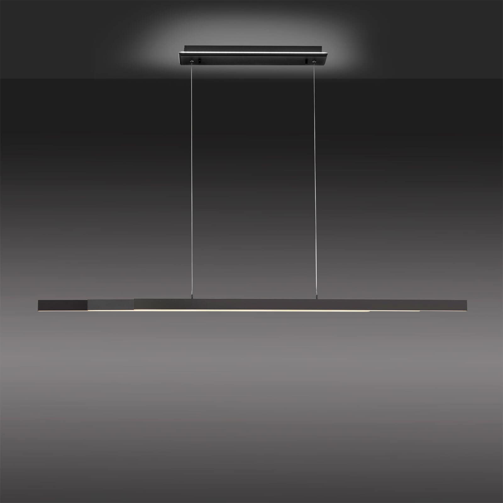 Paul Neuhaus LED Pendellampe Q-ARIAN 179 cm