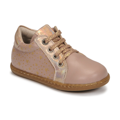 Aster - WAISY - Rose
