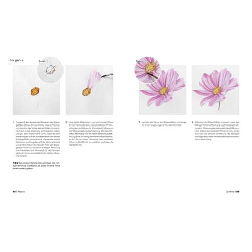 Botanicals – Naturmotive in Aquarell