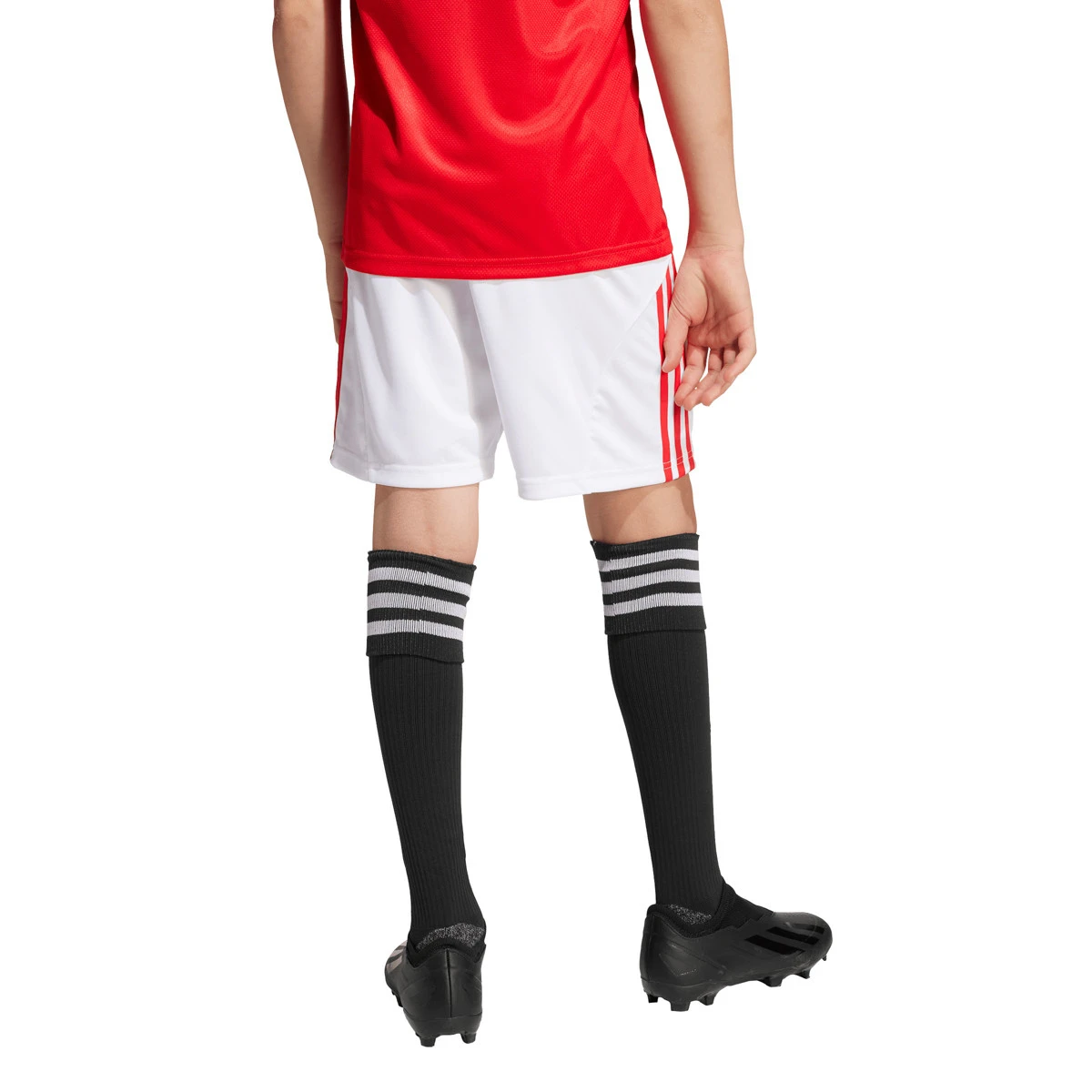 Calções adidas SLB Benfica Primeiro Equipamento 2025-2026 Criança