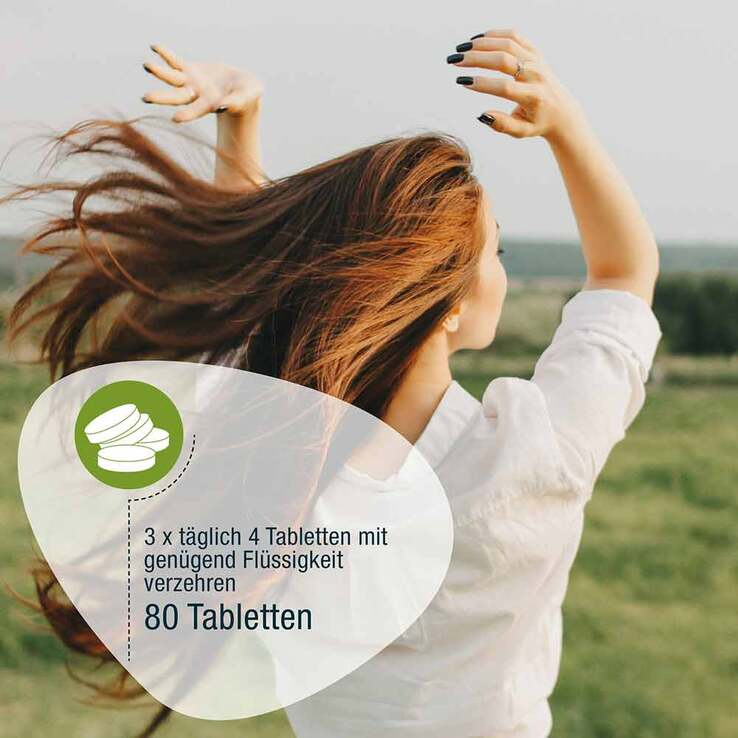 Spirulina 500 mg Bio Naturland Tabletten, 80 St