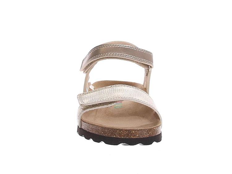 Chili Maddalena 2 Brons