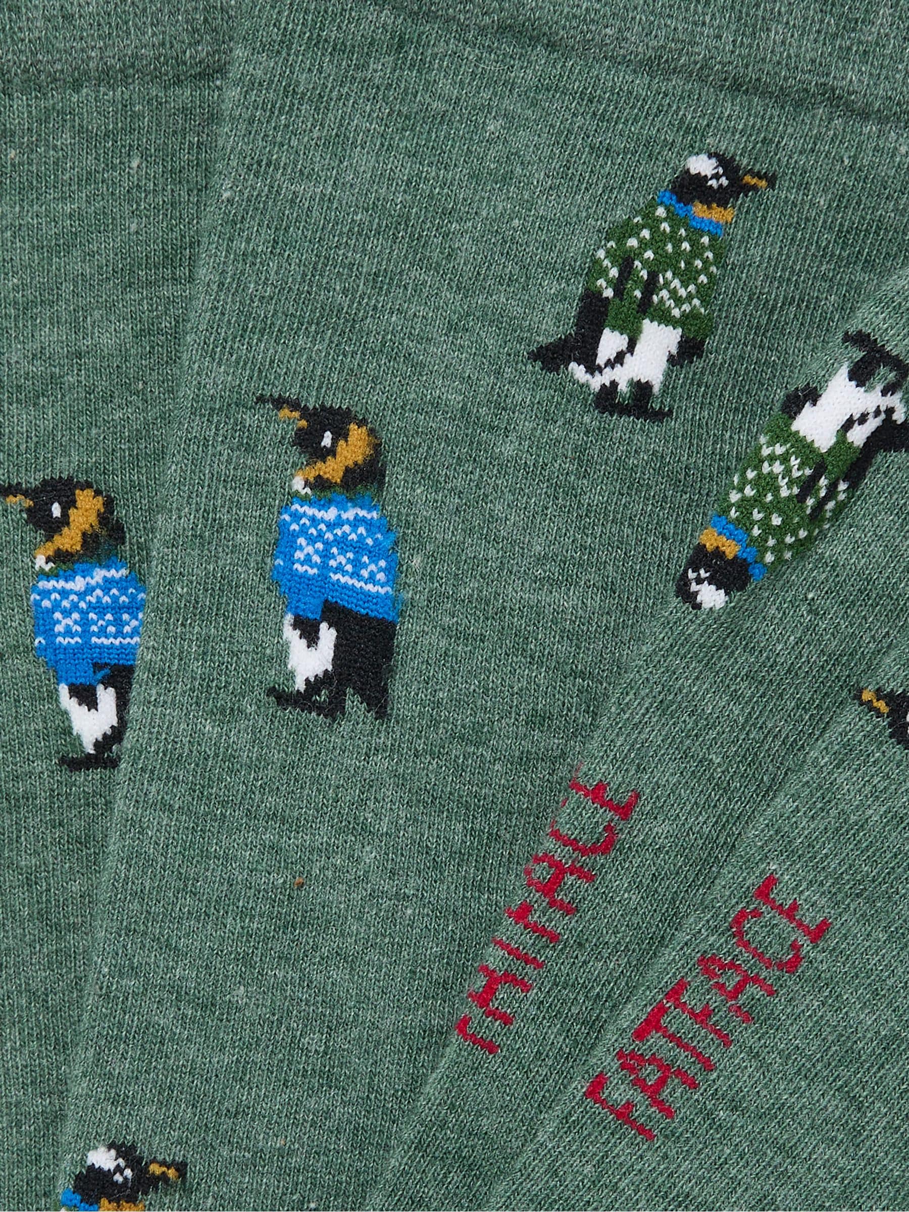 FatFace Penguin Socks
