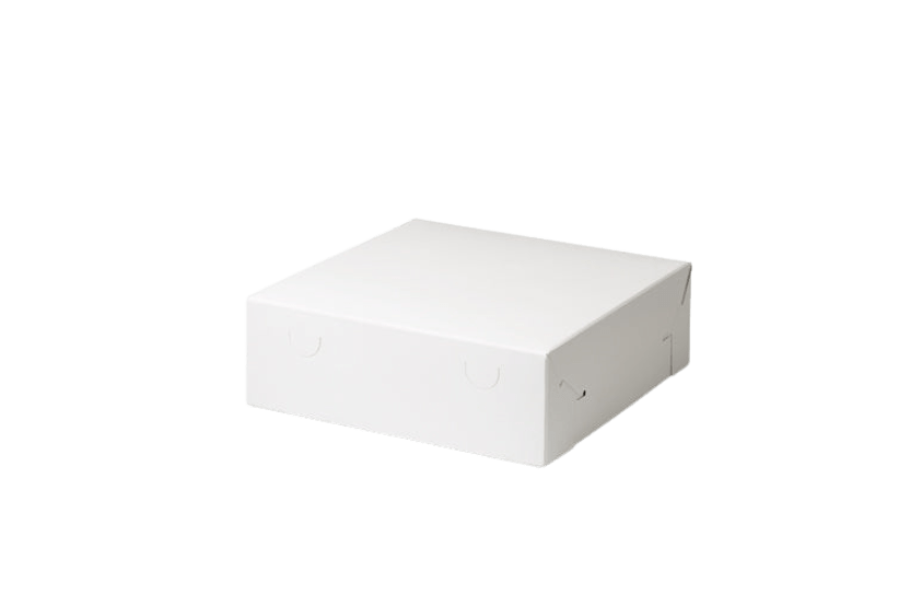 Gebaksdoos 25x25x8cm