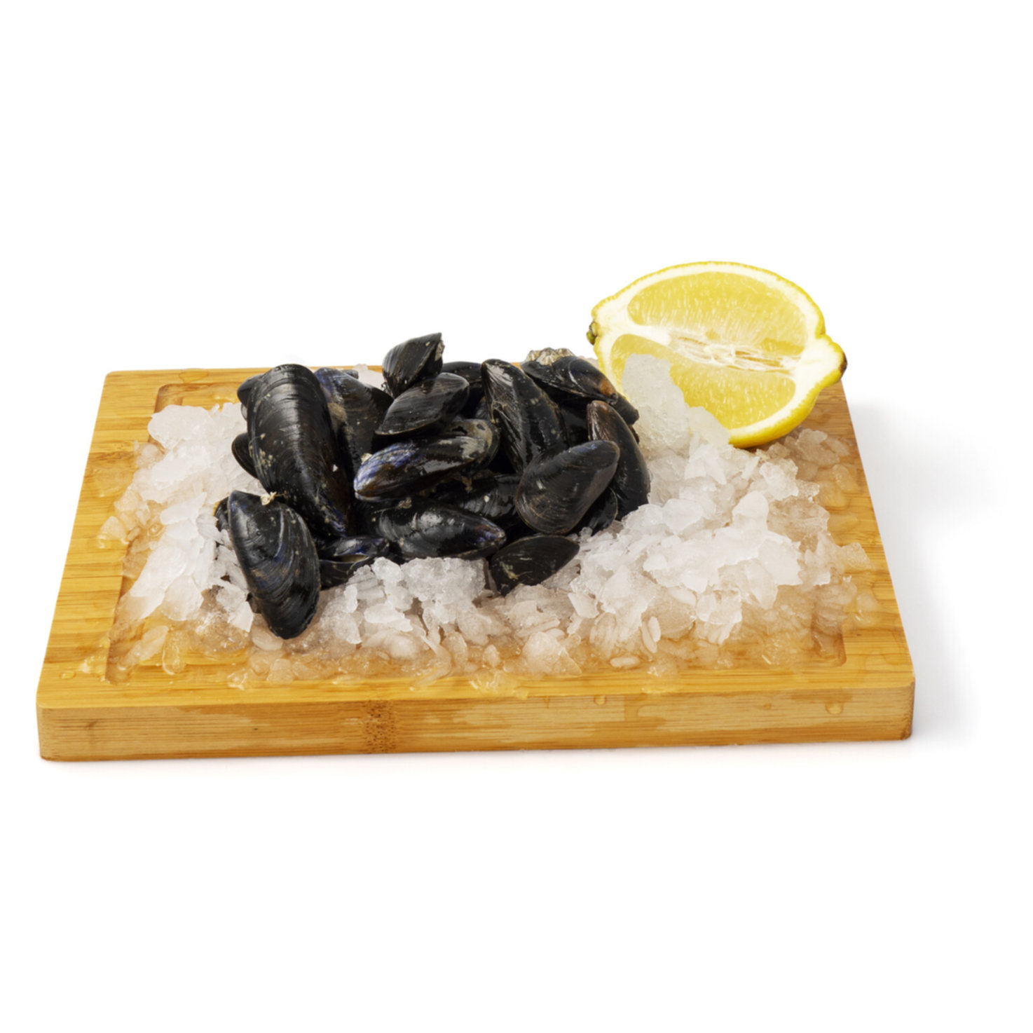 Miesmuscheln Spanien