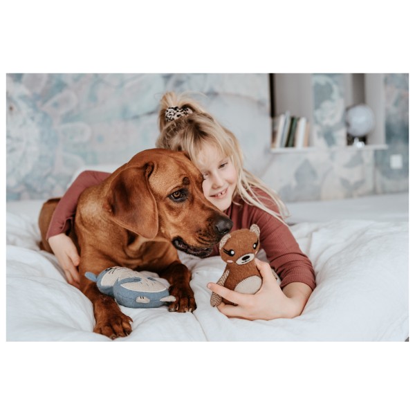 Hunter - Jouet pour chien ourson Fyn - Accessoire pour chien