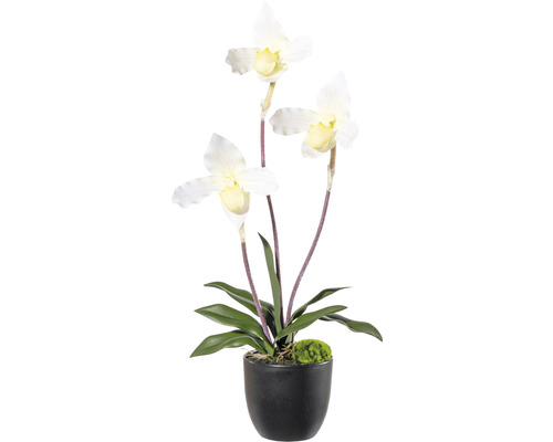 Kunstorchideeënplant, hoogte: 45 cm, crème