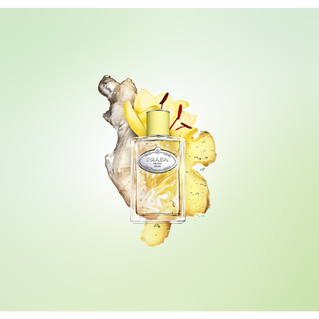 PRADA Les Infusions Gingembre - 100ml