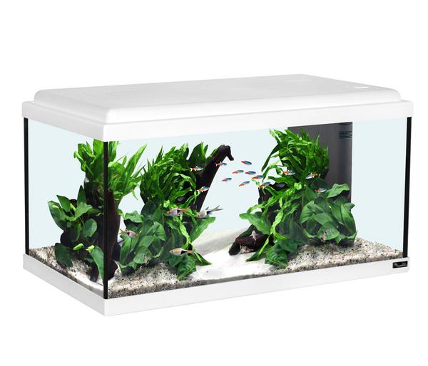 aquatlantis Aquarium Advance 60 LED Set