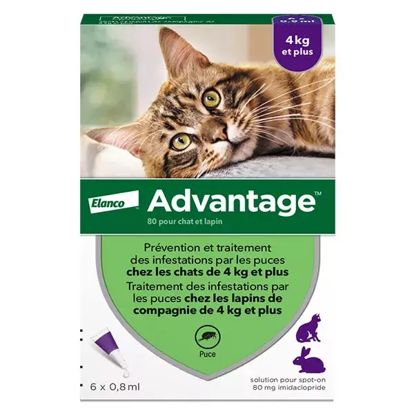 Advantage Solução Antipulgas para Gatos e Coelhos +4kg 6 pipetas