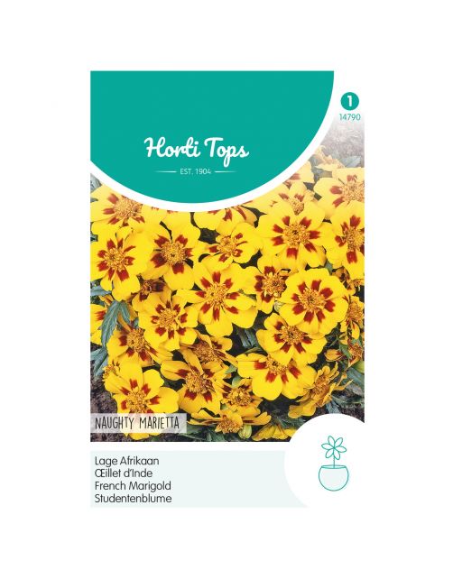Hortitops Tagetes - Lage Afrikaan Naughty Marietta - Bloemenzaden - 1 g