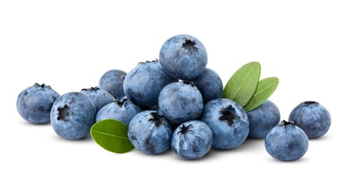 Heidelbeeren, Schale