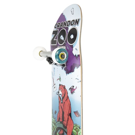 Skate completo Crandon Skc800bear