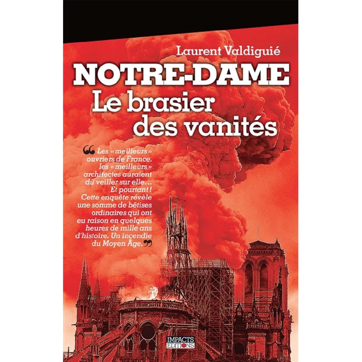 Notre-Dame : le brasier des vanités · Occasion