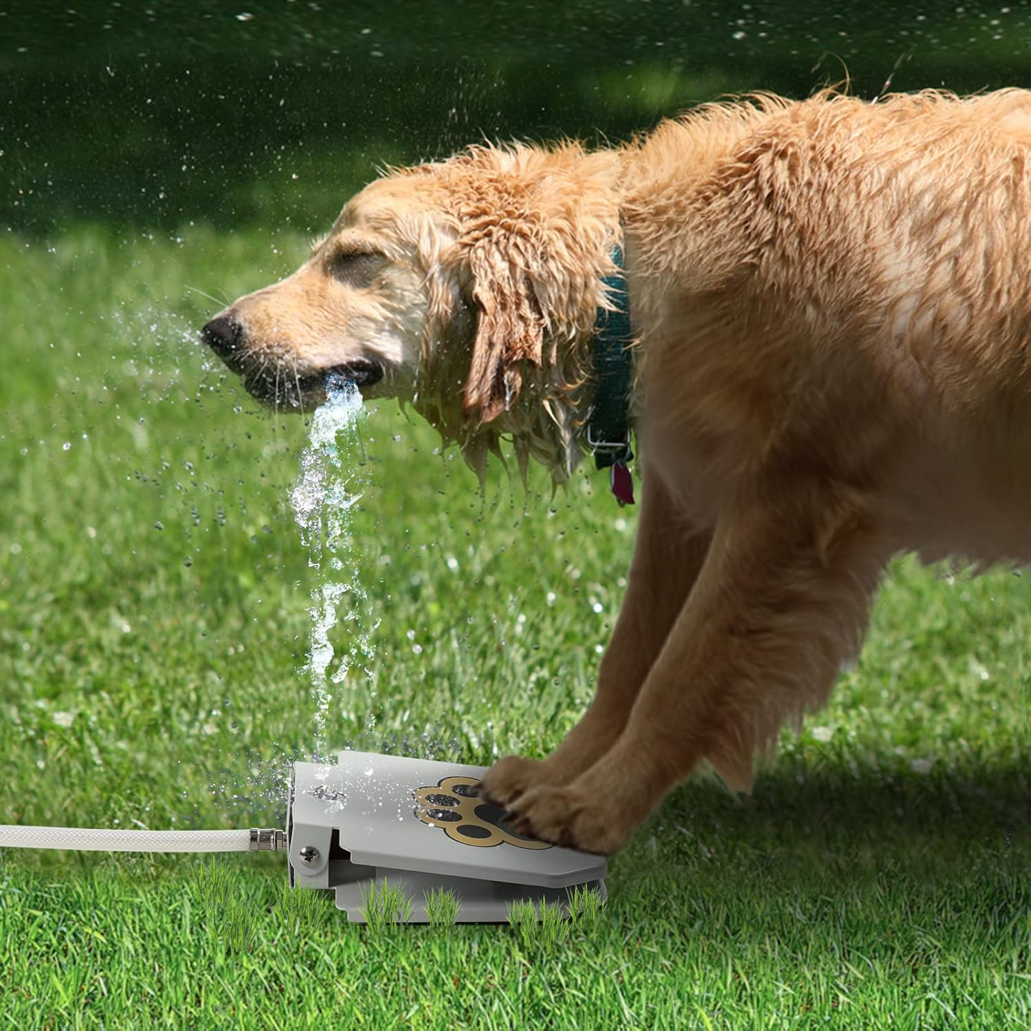 (21.5x22cm) Hunde Spielzeug Wasser Sprinkler Haustier Trinkspender Outdoor Wasserbrunnen Step On Pfoten Presse - Weiss