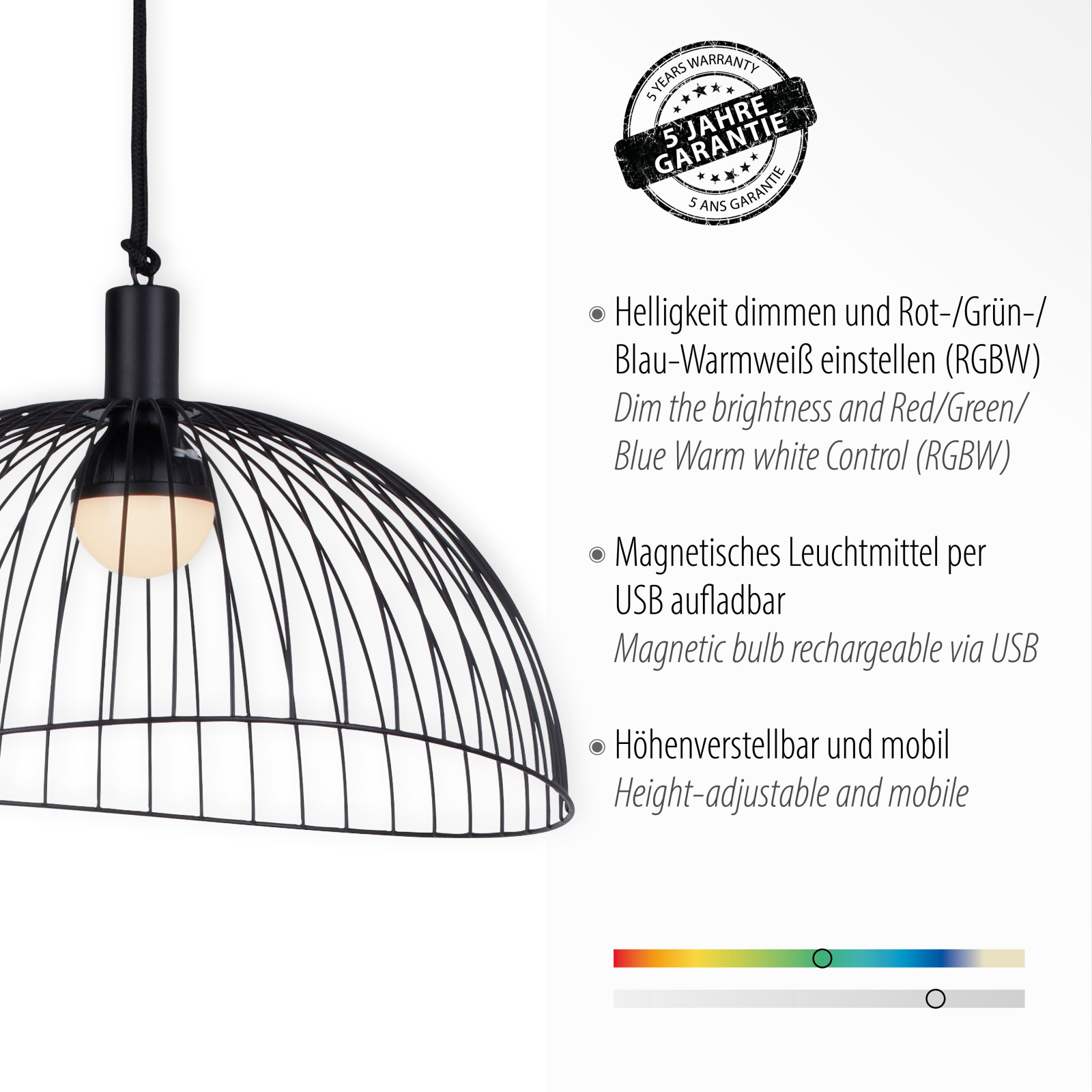 LED-Outdoor-Pendelleuchte - schwarz - dimmbar - RGB