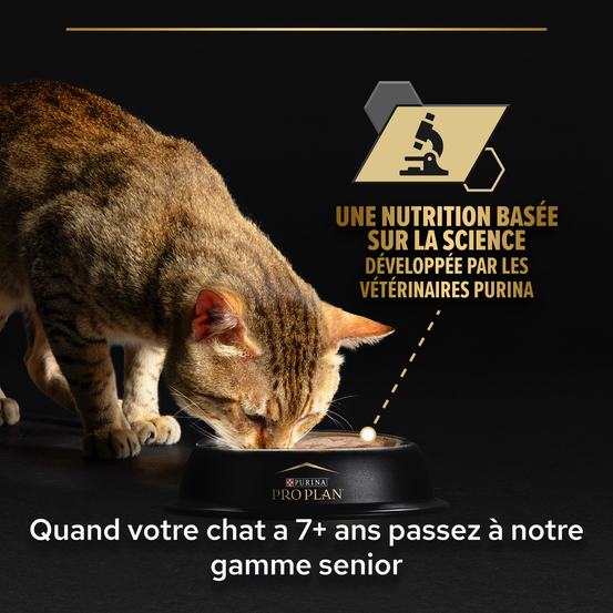 Terrine sterilised Longevis dinde - chat senior 10x75g