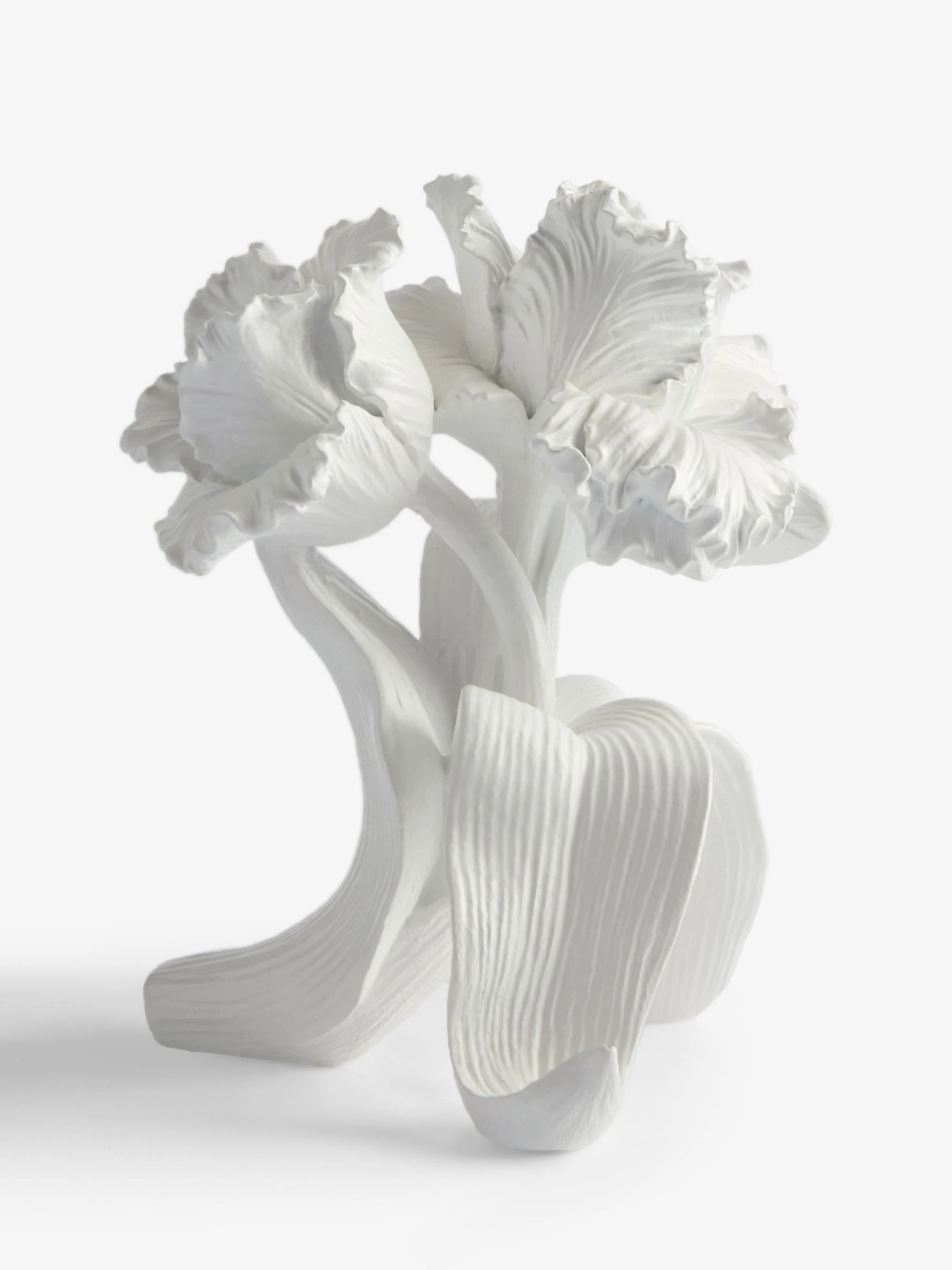 Parrot Tulip Flower Ornament